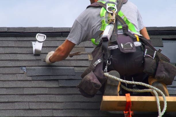 Best Roof Leak Repair  in Magnolia Springs, AL
