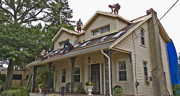 Best Roof Maintenance Services  in Magnolia Springs, AL