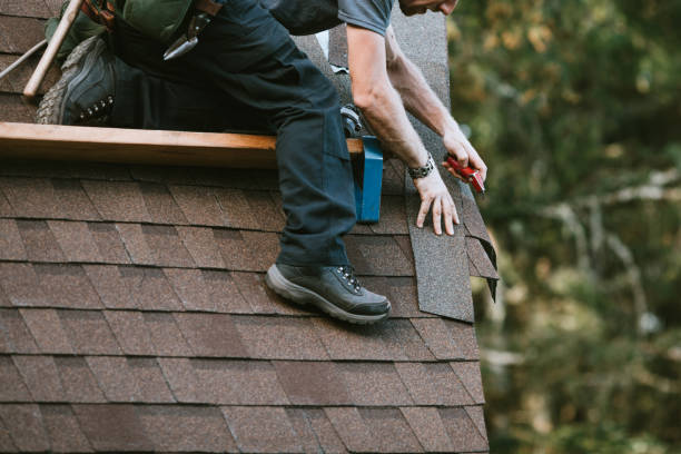 Best Roof Gutter Cleaning  in Magnolia Springs, AL